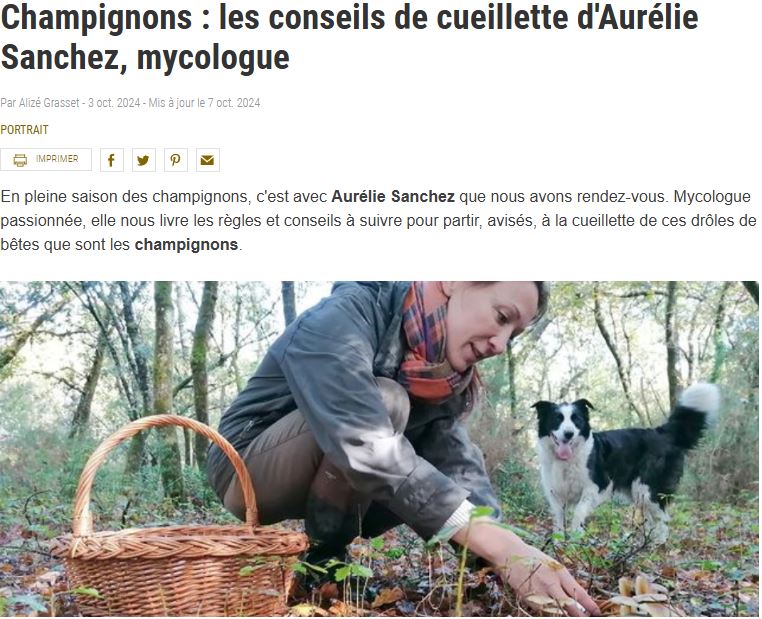 Actu 4